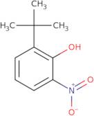 2-(tert-Butyl)-6-nitrophenol