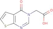 (4-Oxo-4H-thieno[2,3-d]pyrimidin-3-yl)-acetic acid