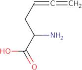 Allenic norleucine