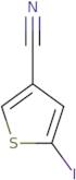 5-Iodothiophene-3-carbonitrile