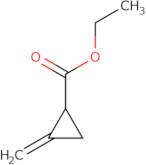 Ethyl 2-methylidenecyclopropane-1-carboxylate