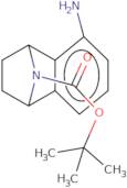 tert-Butyl 3-amino-11-azatricyclo[6.2.1.0,2,7]undeca-2(7),3,5-triene-11-carboxylate