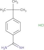 4-tert-Butylbenzenecarboximidamide Hydrochloride