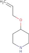 4-(Prop-2-en-1-yloxy)piperidine