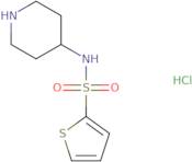 N-(Piperidin-4-yl)thiophene-2-sulfonamide hydrochloride