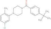 4-(tert-butyl)phenyl 4-(5-chloro-2-methylphenyl)piperazinyl ketone