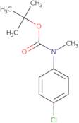 tert-Butyl N-(4-chlorophenyl)-N-methylcarbamate