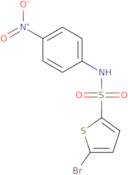 5-Bromo-N-(4-nitrophenyl)thiophene-2-sulfonamide