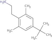 2-(4-tert-Butyl-2,6-dimethylphenyl)ethan-1-amine