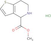 Methyl 4,5,6,7-tetrahydrothieno[3,2-c]pyridine-4-carboxylate hydrochloride