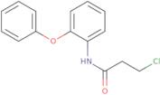 3-Chloro-N-(2-phenoxyphenyl)propanamide
