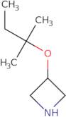 3-[(2-Methylbutan-2-yl)oxy]azetidine