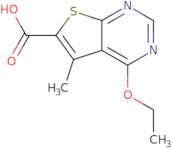 4-Ethoxy-5-methylthieno[2,3-d]pyrimidine-6-carboxylic acid