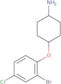 4-(2-Bromo-4-chlorophenoxy)cyclohexan-1-amine