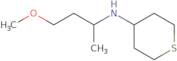 N-(4-Methoxybutan-2-yl)thian-4-amine