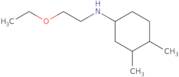 N-(2-Ethoxyethyl)-3,4-dimethylcyclohexan-1-amine