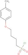 4-(4-Methylphenoxy)butane-1-sulfonyl chloride