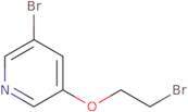 3-Bromo-5-(2-bromoethoxy)pyridine