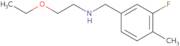 (2-Ethoxyethyl)[(3-fluoro-4-methylphenyl)methyl]amine