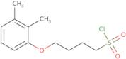 4-(2,3-Dimethylphenoxy)butane-1-sulfonyl chloride