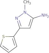 5-Amino-1-methyl-3-(2-thienyl)pyrazole
