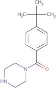 (4-tert-Butylphenyl)-piperazin-1-yl-methanone
