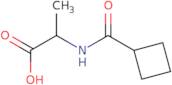 2-(Cyclobutylformamido)propanoic acid