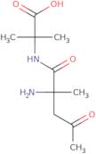 2-(2-acetamido-2-methylpropanamido)-2-methylpropanoic acid