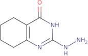 2-Hydrazinyl-5,6,7,8-tetrahydroquinazolin-4-ol