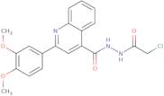 N'-(2-Chloroacetyl)-2-(3,4-dimethoxyphenyl)quinoline-4-carbohydrazide