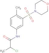 2-Chloro-N-[4-methyl-3-(morpholine-4-sulfonyl)phenyl]propanamide