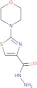 2-(Morpholin-4-yl)-1,3-thiazole-4-carbohydrazide