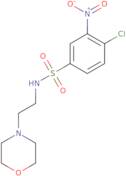 4-Chloro-N-[2-(morpholin-4-yl)ethyl]-3-nitrobenzene-1-sulfonamide