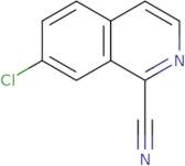 7-Chloroisoquinoline-1-carbonitrile