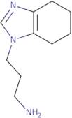 3-(4,5,6,7-Tetrahydro-1H-1,3-benzodiazol-1-yl)propan-1-amine