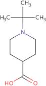 1-tert-Butylpiperidine-4-carboxylic acid