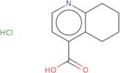 5,6,7,8-Tetrahydroquinoline-4-carboxylic acid hydrochloride