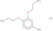 3,4-Dipropoxyaniline hydrochloride