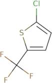 2-Chloro-5-(trifluoromethyl)thiophene