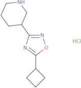 3-(5-Cyclobutyl-1,2,4-oxadiazol-3-yl)piperidine hydrochloride