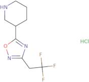 3-[3-(2,2,2-Trifluoroethyl)-1,2,4-oxadiazol-5-yl]piperidine hydrochloride