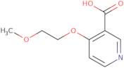 4-(2-Methoxyethoxy)pyridine-3-carboxylic acid