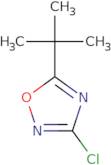 5-tert-Butyl-3-chloro-1,2,4-oxadiazole