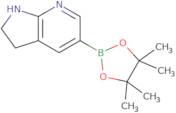 2,3-Dihydropyrrolo[2,3-b]pyridine-5-boronic acid, pinacol ester