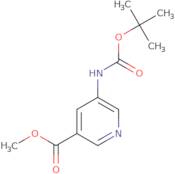 Methyl 5-(Tert-butoxycarbonylamino)nicotinate