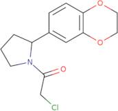 2-Chloro-1-[2-(2,3-dihydro-1,4-benzodioxin-6-yl)pyrrolidin-1-yl]ethan-1-one