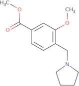 Methyl 3-methoxy-4-[(pyrrolidin-1-yl)methyl]benzoate