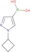 (1-Cyclobutylpyrazol-4-yl)boronic acid