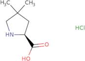 4,4-Dimethyl-L-proline hydrochloride