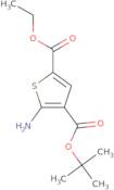 4-tert-Butyl 2-ethyl 5-aminothiophene-2,4-dicarboxylate